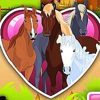 Игра Ухаживать за Лошадьми Игра Ухаживать за Лошадьми