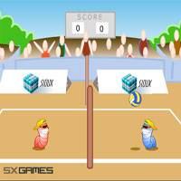 Игра Спорт волейбол для двоих Игра Спорт волейбол для двоих