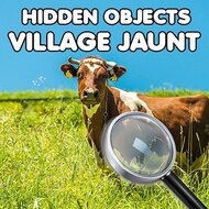Игра Прогулка по деревне: найди скрытые объекты