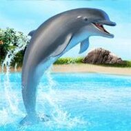 Игра Шоу дельфинов 2