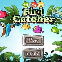 Игра Angry Birds: Ловля птиц Игра Angry Birds: Ловля птиц