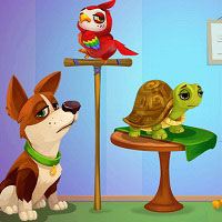 Игра Доктор Животных Игра Доктор Животных онлайн
