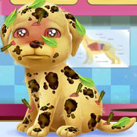 Игра Клиника для питомцев Игра Клиника для питомцев