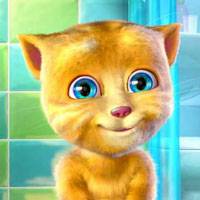 Игра Кот Рыжик Игра Кот Рыжик