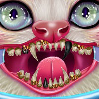 Игра Котик у дантиста Игра Котик у дантиста
