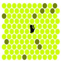 Игра Поймай кота Игра Поймай кота