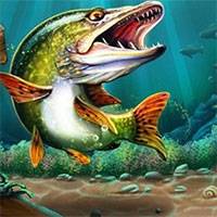 Игра Рыбки прыгуны Игра Рыбки прыгуны онлайн