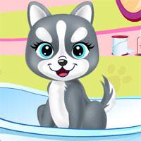 Игра Салон красоты для животных Игра Салон красоты для животных онлайн