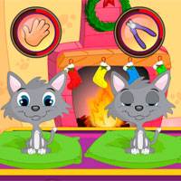 Игра Смешные кошки Игра Смешные кошки онлайн