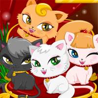Игра Ухаживать за котятами Игра Ухаживать за котятами онлайн