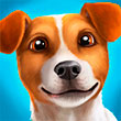 Игры Про животных Игры Про животных