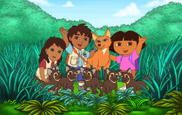 Даша-путешественница Даша-путешественница