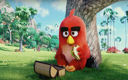 Angry Birds Angry Birds