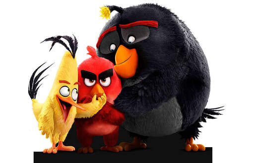 Angry birds фото птиц