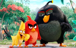 Angry Birds Angry Birds