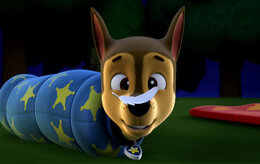 Щенячий патруль Щенячий патруль