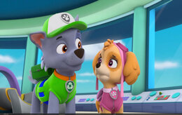 Щенячий патруль Щенячий патруль