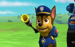 Щенячий патруль Щенячий патруль