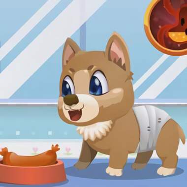 Игра звери птицы и больница. Домашний питомец игра. Детская игра ухаживать за животными. Милые игры собачки. Ухаживание за котом игра.