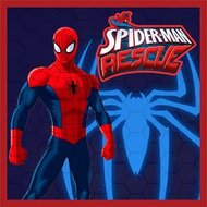 Игра Человек-паук: булавки