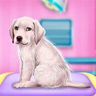 Игра Лабрадор у доктора Игра Лабрадор у доктора