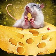 Игра Мышка и сыр