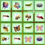 Игра Найди насекомых