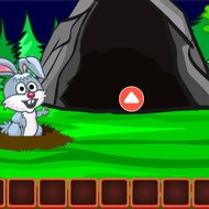Игра Побег из леса с пещерами