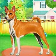 Игра Побег собаки Игра Побег собаки