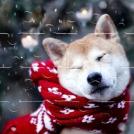 Игра Собаки зимой: пазлы
