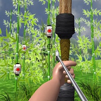 Игра Эксперт по стрельбе из лука: Япония Игра Эксперт по стрельбе из лука: Япония