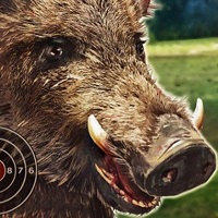 Игра Охота на кабанов Игра Охота на кабанов