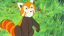 Город Канхивары