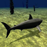 Игра Акула 3д