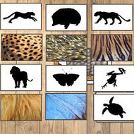 Игра Дидактическая для детей 6-7 лет