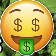 Игра Фестиваль денег