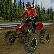 Игра Гонки на квадроциклах 3Д