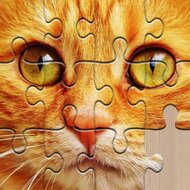 Игра Коллекция пазлов