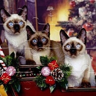 Игра Кошки: Милый Пазл