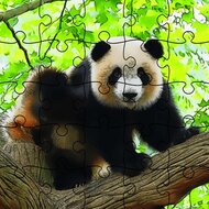 Игра Малыши панды: пазлы