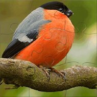 Игра Мастер пазлов