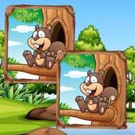 Игра Найди 5 отличий в джунглях