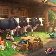 Игра Найди предметы на ферме