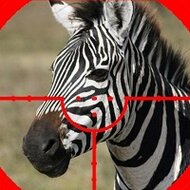 Игра Охота на зебр