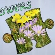 Игра Пазлы: цветы