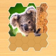 Игра Пазлы Гекса