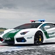 Игра Пазлы: полицейские машины