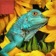 Игра Пазлы с животными 6