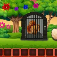 Игра Побег белки