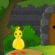 Игра Побег из курятника